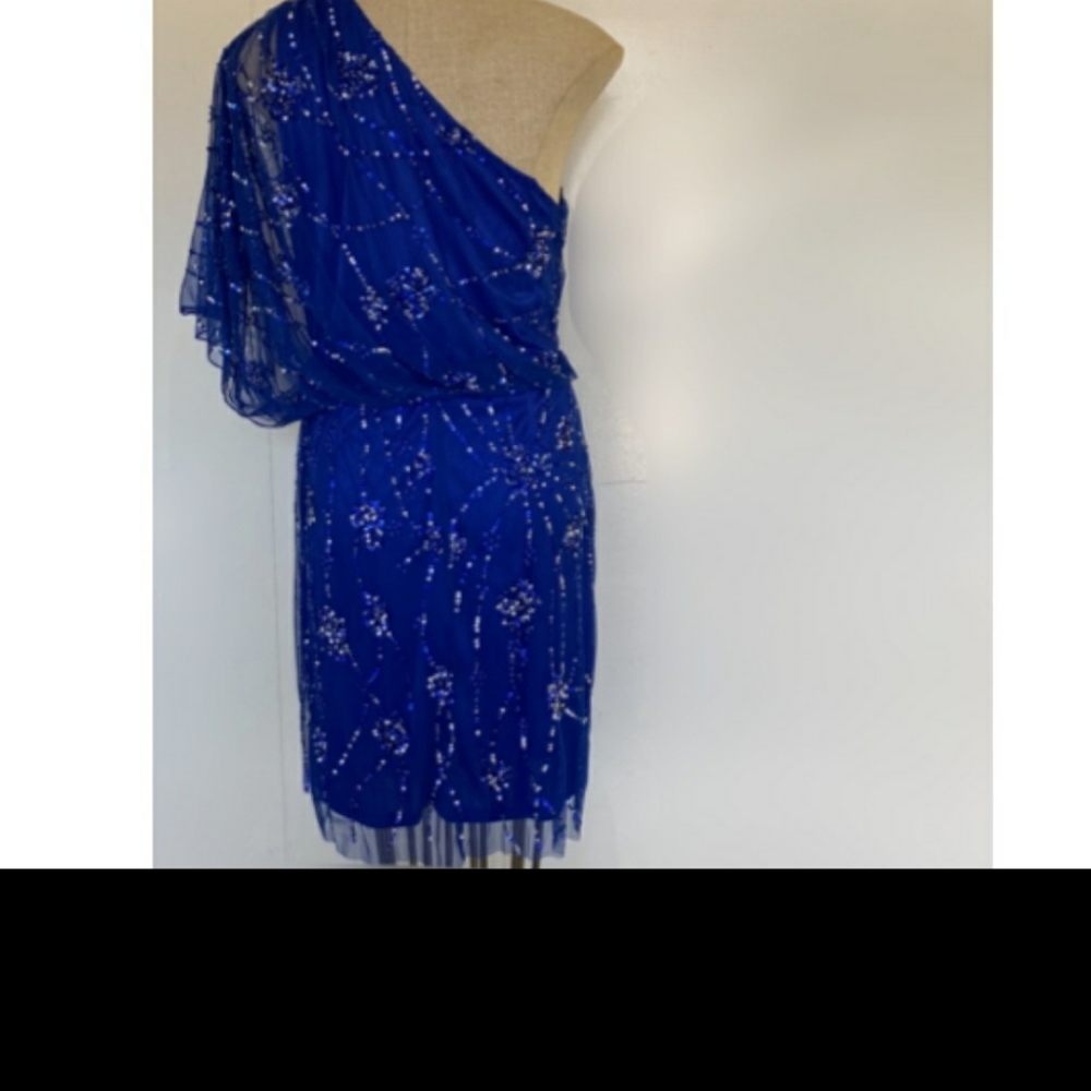 Adrianna pappell cocktail dress